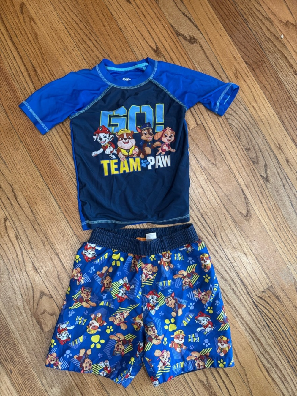 Boys Nickelodeon Paw Patrol Rashguard Swim Set 4T